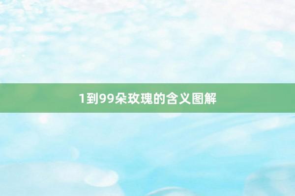 1到99朵玫瑰的含义图解