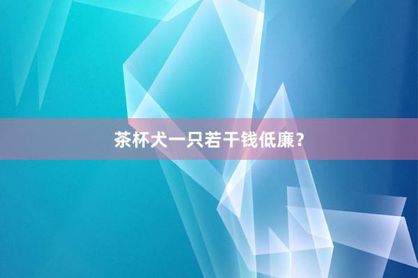 茶杯犬一只若干钱低廉？
